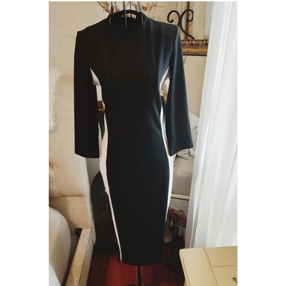 Pencil Dress by Zara - Picture 2 of 2